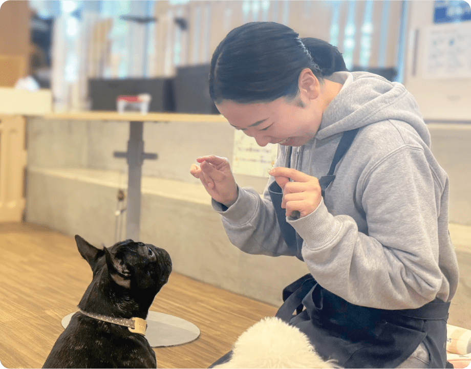 ドッグトレーナー