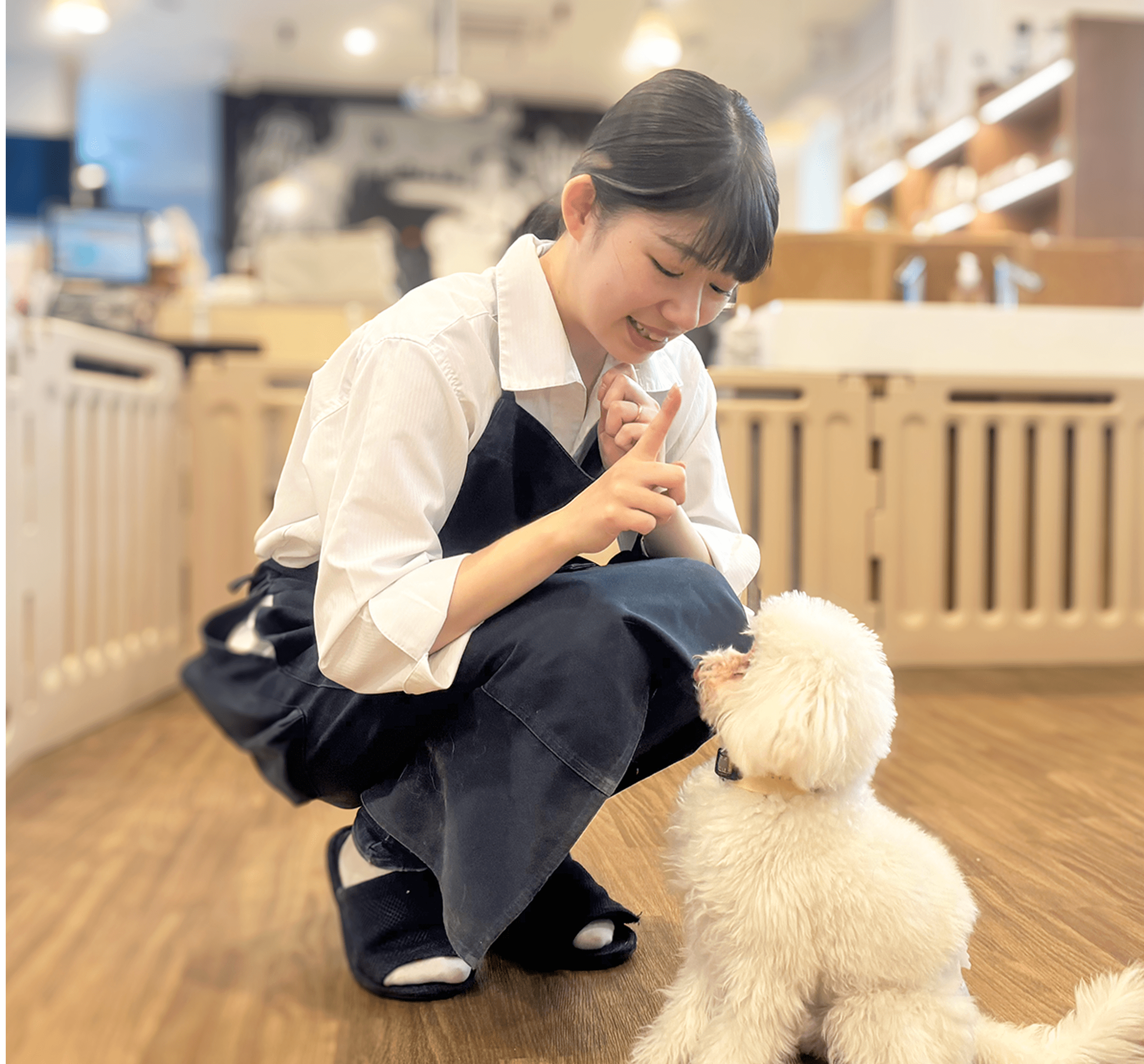 ドッグトレーナー