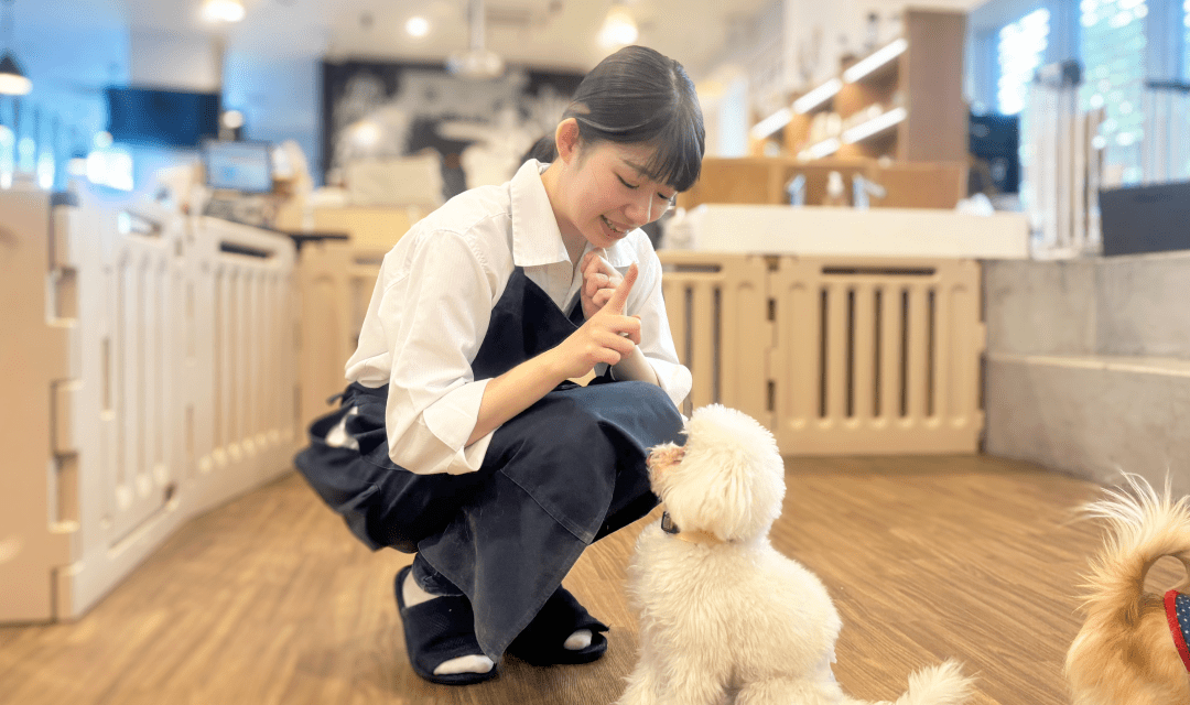 ドッグトレーナー