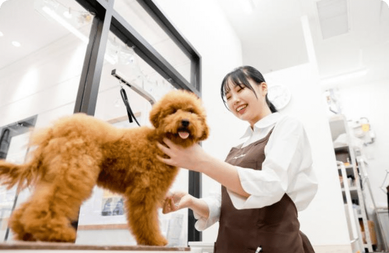 作業の効率が良くなり、自分の成長を実感できた