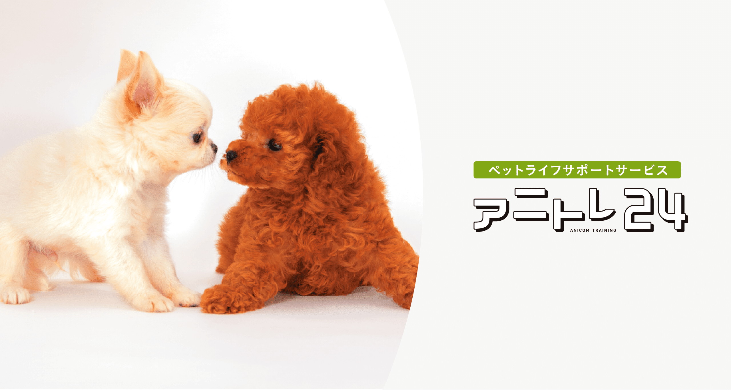 育てる幸せを毎日お手元に配達。飼い主様を全面サポートします。