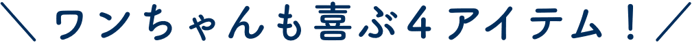 ワンちゃんも喜ぶ4アイテム!