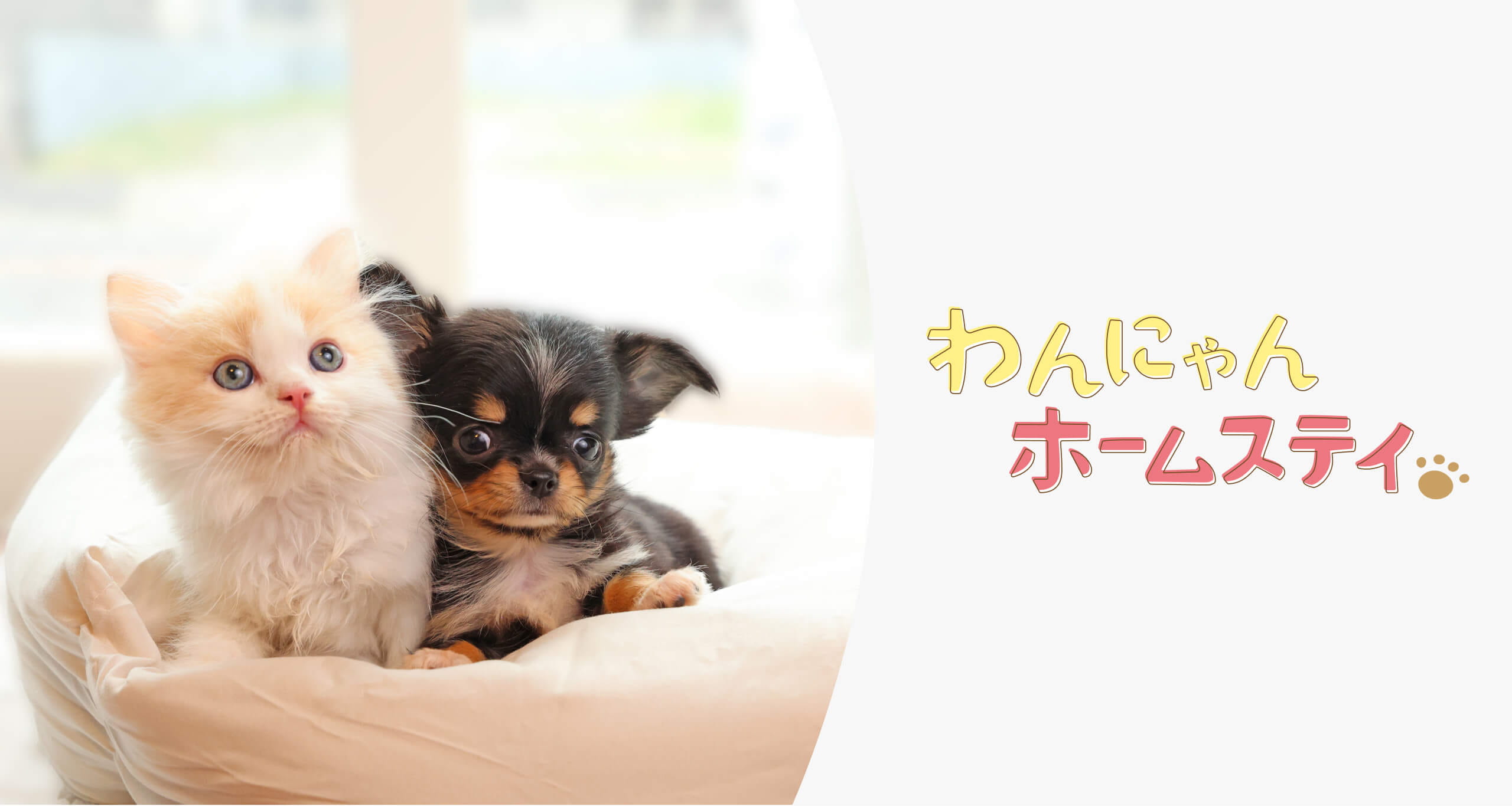 可愛さや相性など、ペットについて知ることができる 2泊3日のペットライフ体験 わんにゃんホームステイ 一緒に過ごしてみないと実感できない可愛さもある