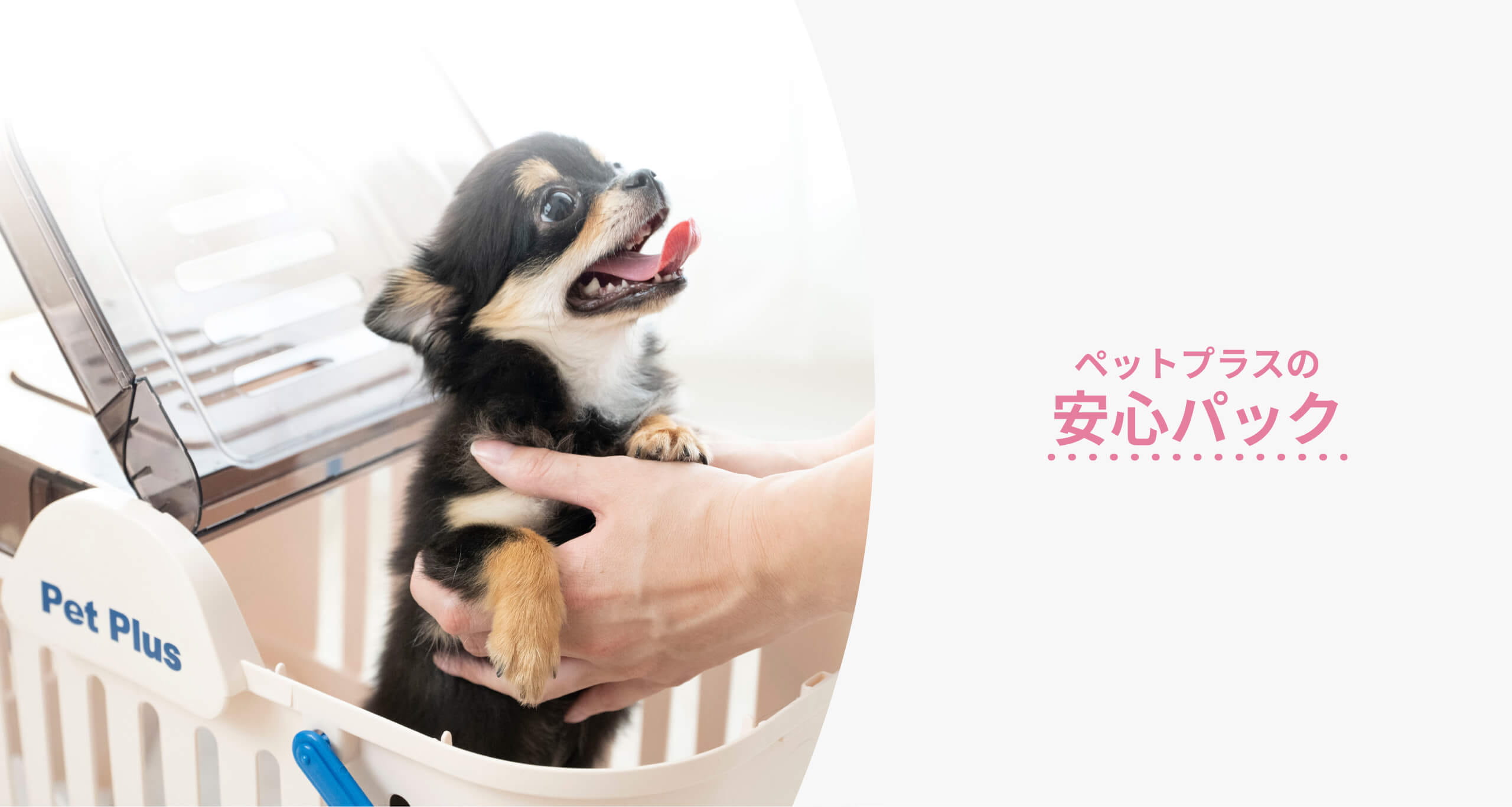 ペットを買った後も安心サポート ペットプラスの安心サービス