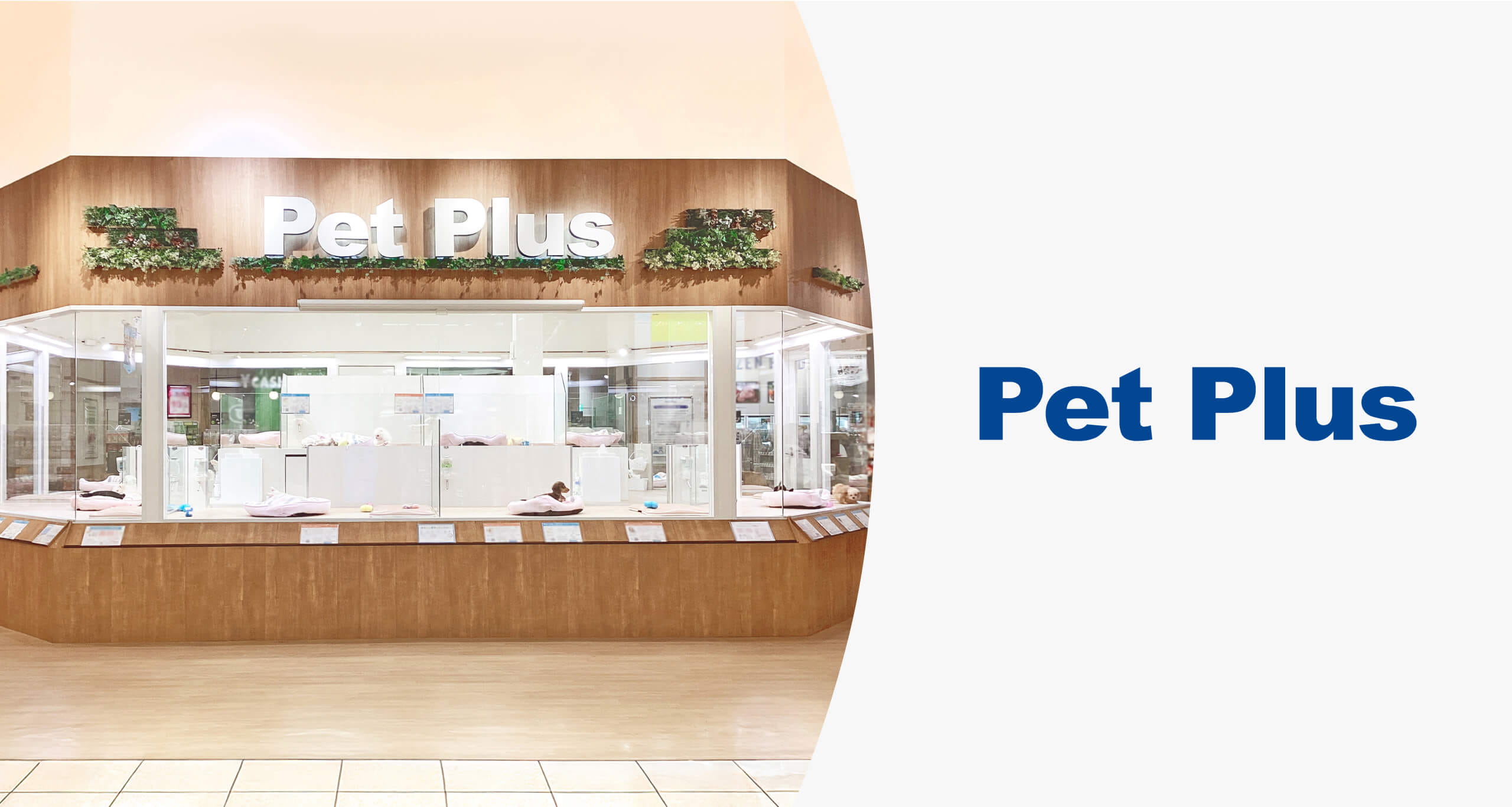 Pet Plus お客様に幸せを配達する全国展開のペットショップ「ペットプラス」