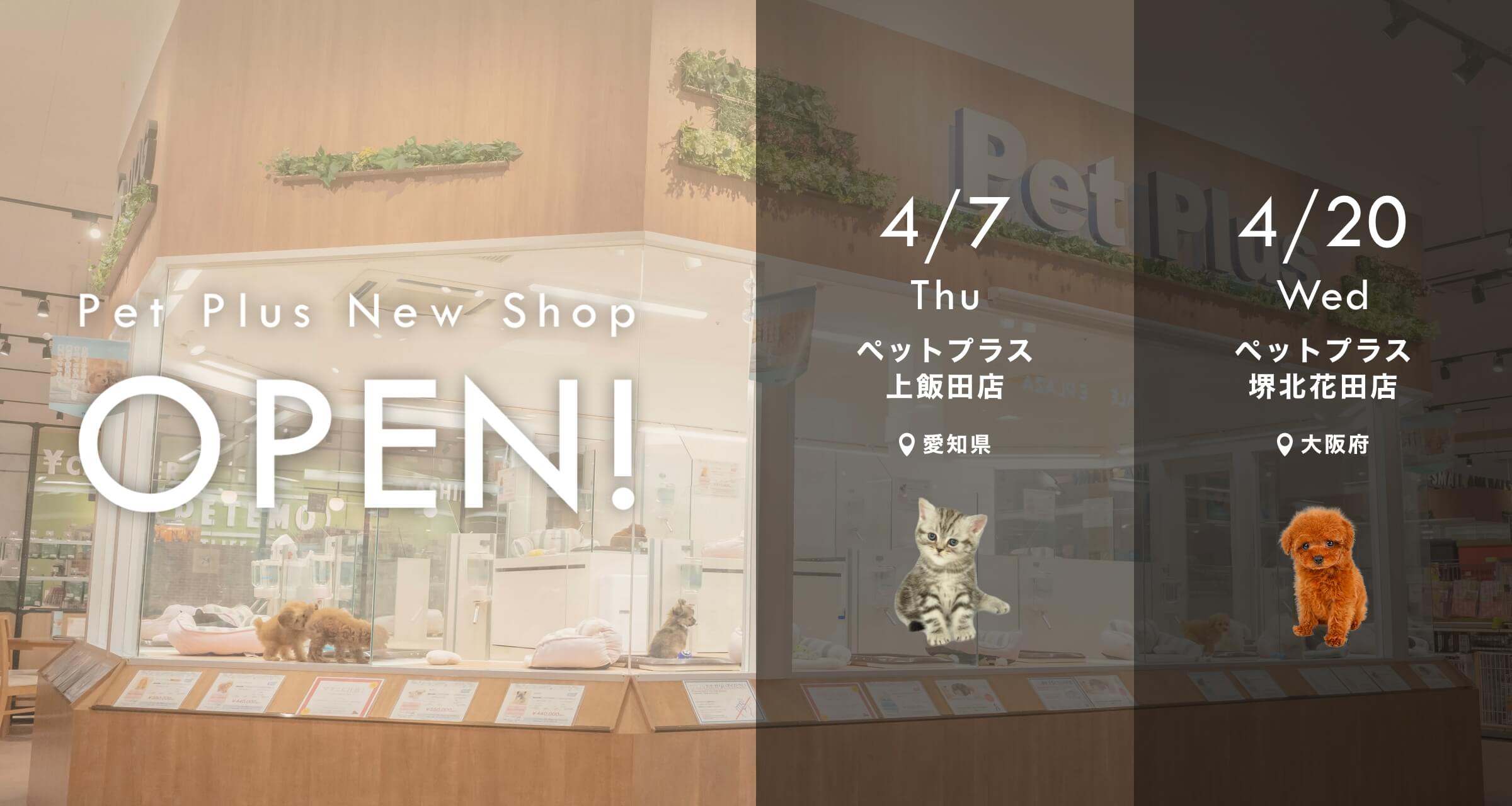 新店OPEN