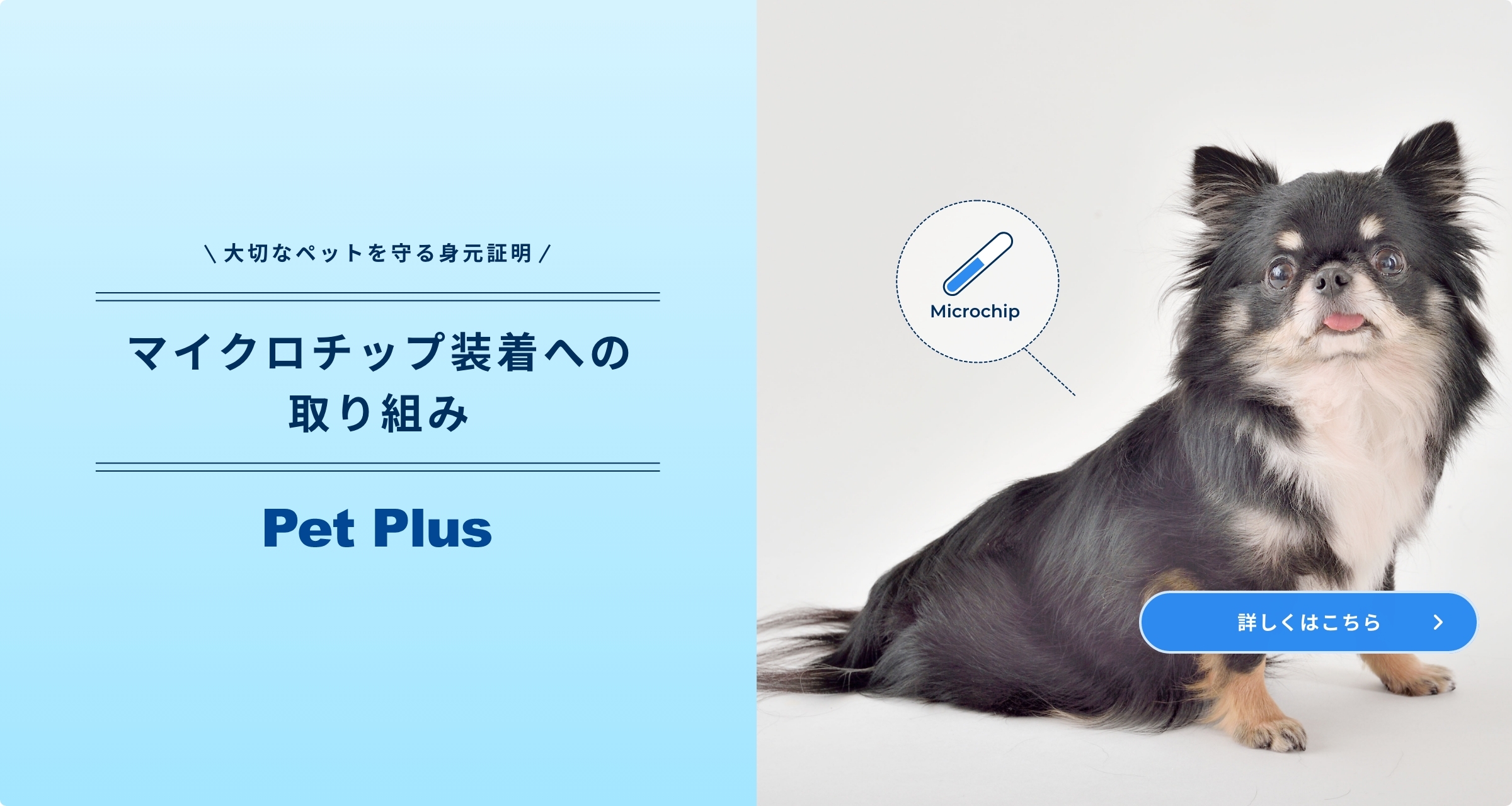 マイクロチップの取組