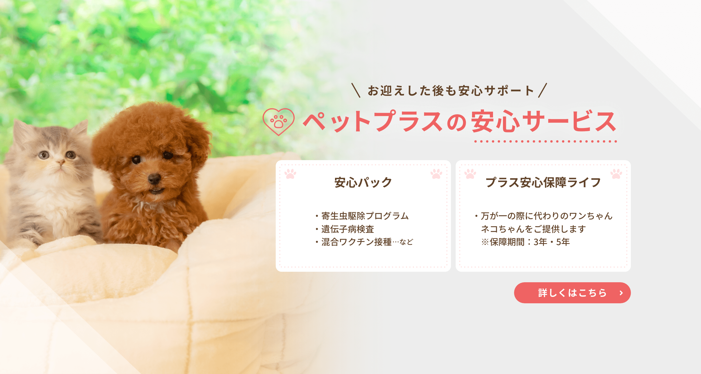 ペットプラスの安心サービス