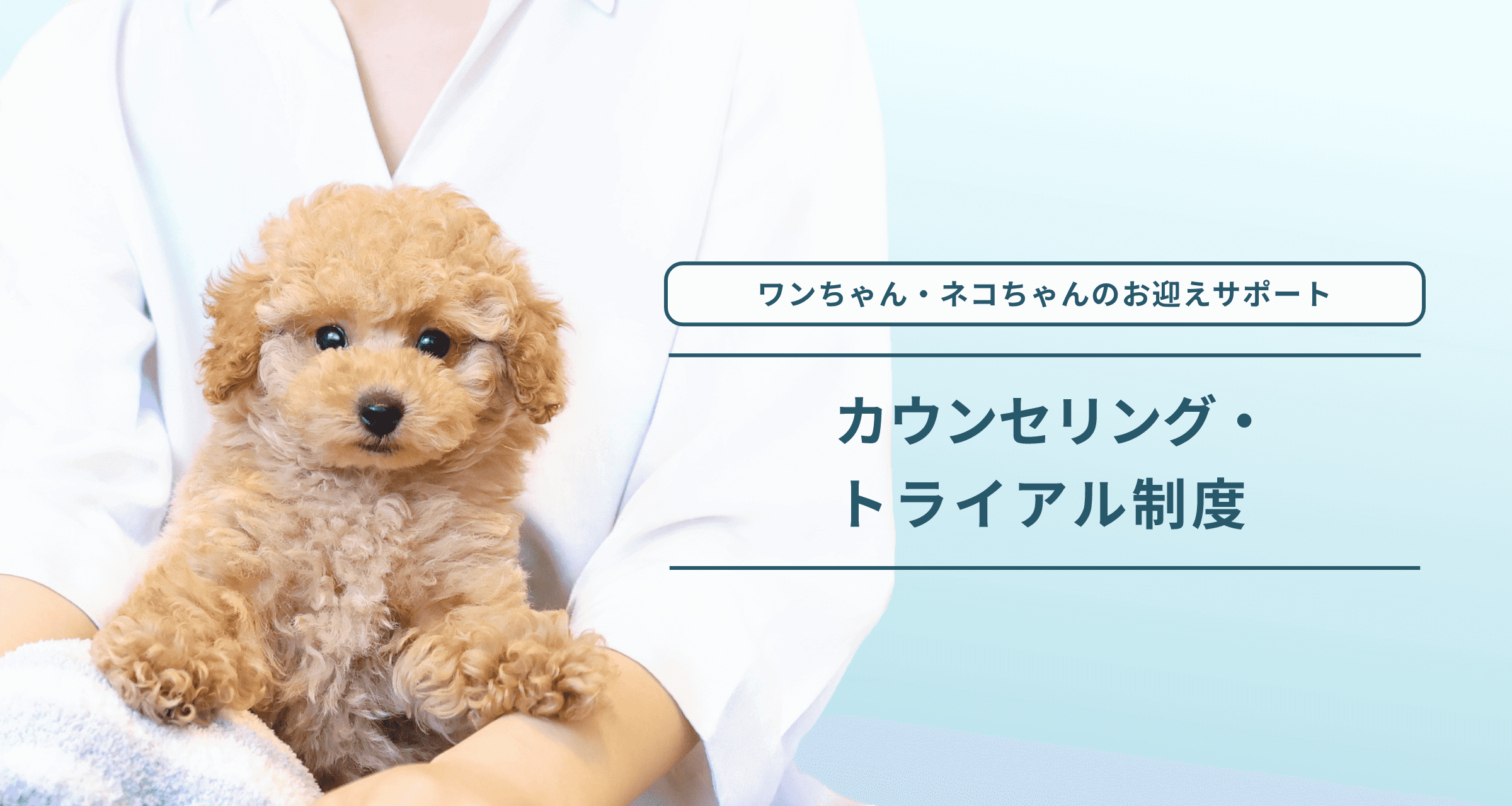 カウンセリング・トライアル制度