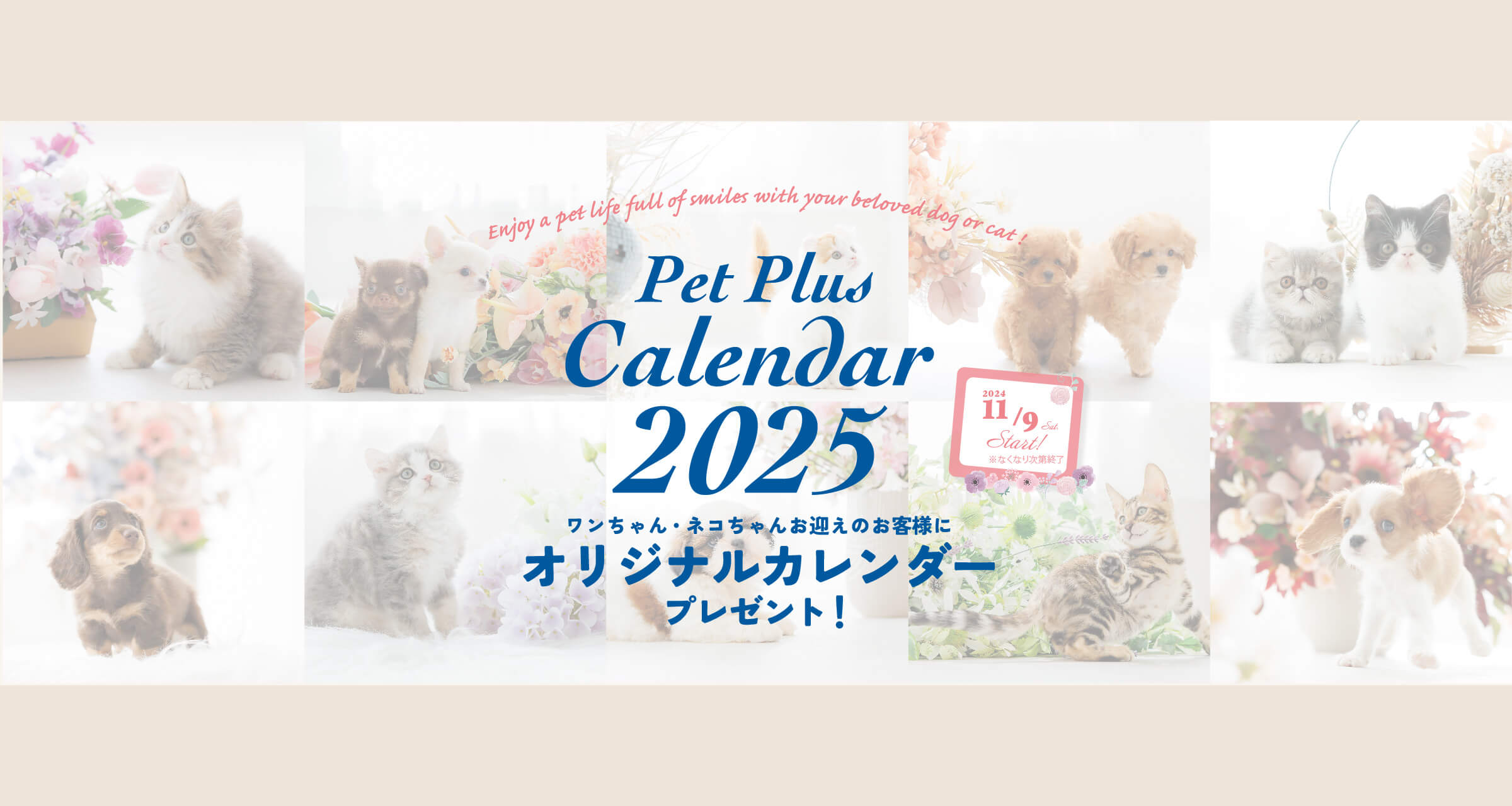 予約投稿テスト2