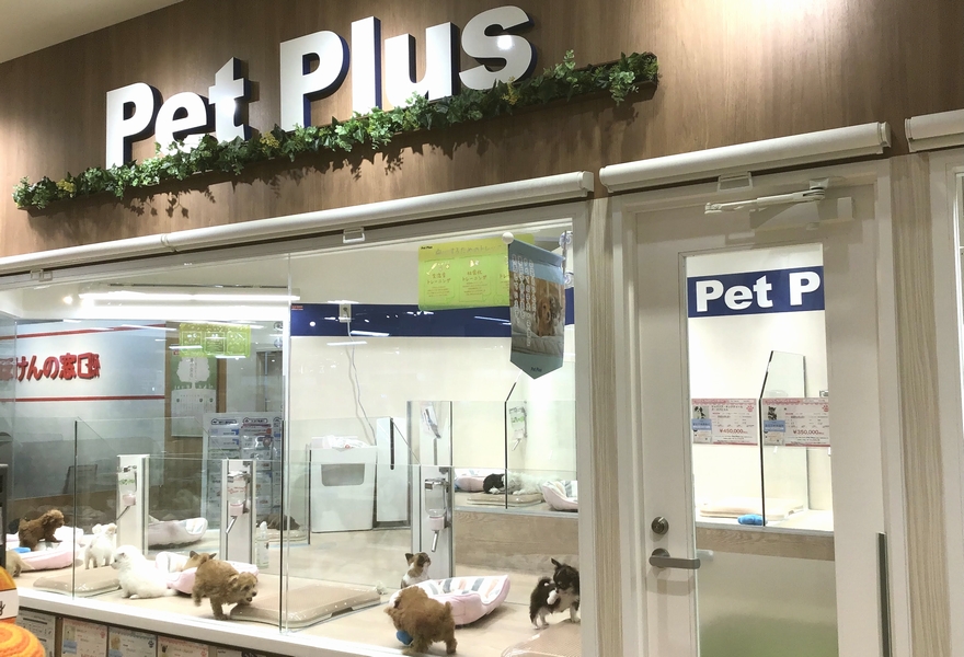 ペットプラス 新百合丘店の写真