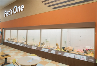 ペッツワン 青梅インター店の写真