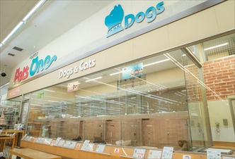 ペッツワン 横須賀久里浜店の写真