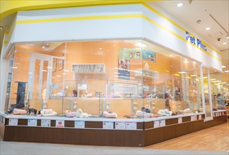 ペットプラス イオンモール太田店の写真