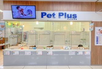 ペットプラス 板橋店の写真