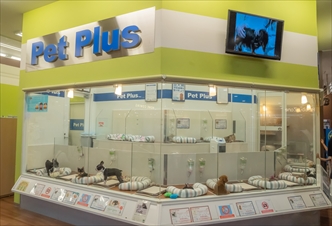 ペットプラス イオンモール春日部店の写真