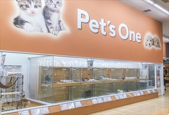 ペッツワン 桑名店の写真