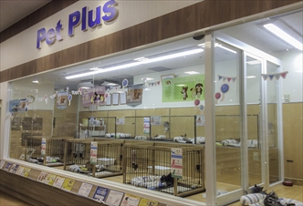 ペットプラス 千種店の写真