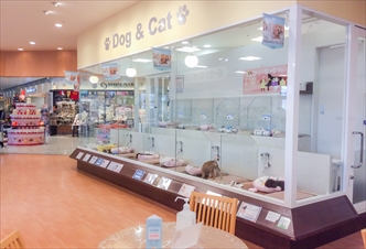ペットプラス 福井店の写真