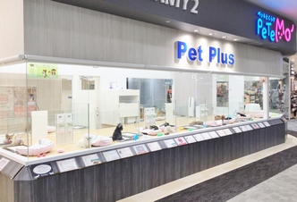 ペットプラス 松本店の写真