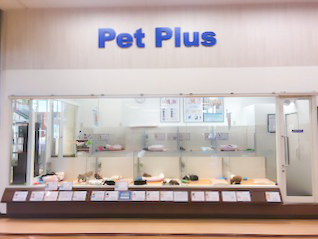ペットプラス りんくう泉南店の写真
