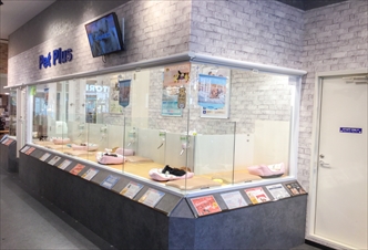 ペットプラス MARK IS 福岡ももち店の写真