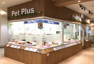 ペットプラス 沖縄ライカム店の写真