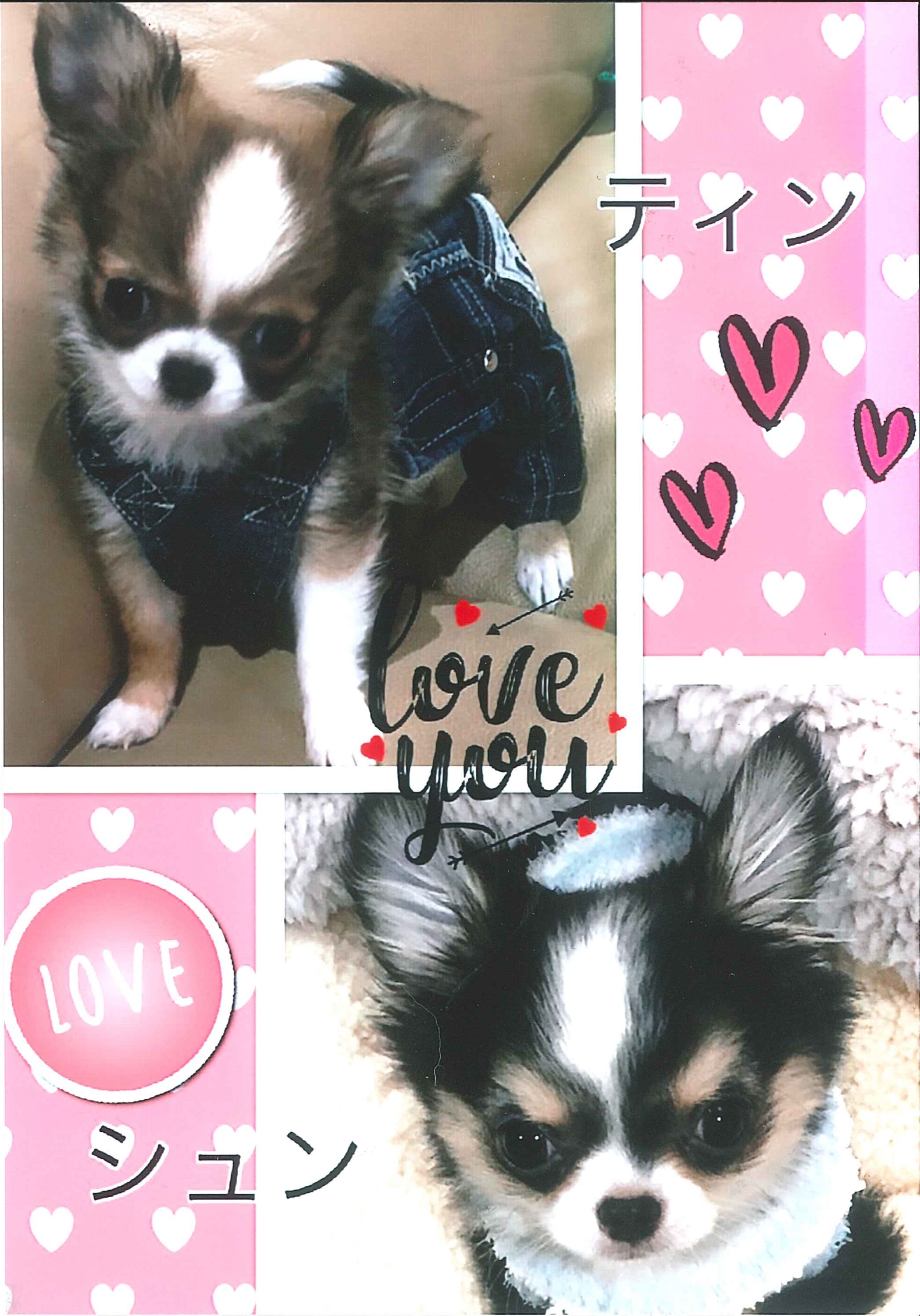 ティンちゃん&シュン