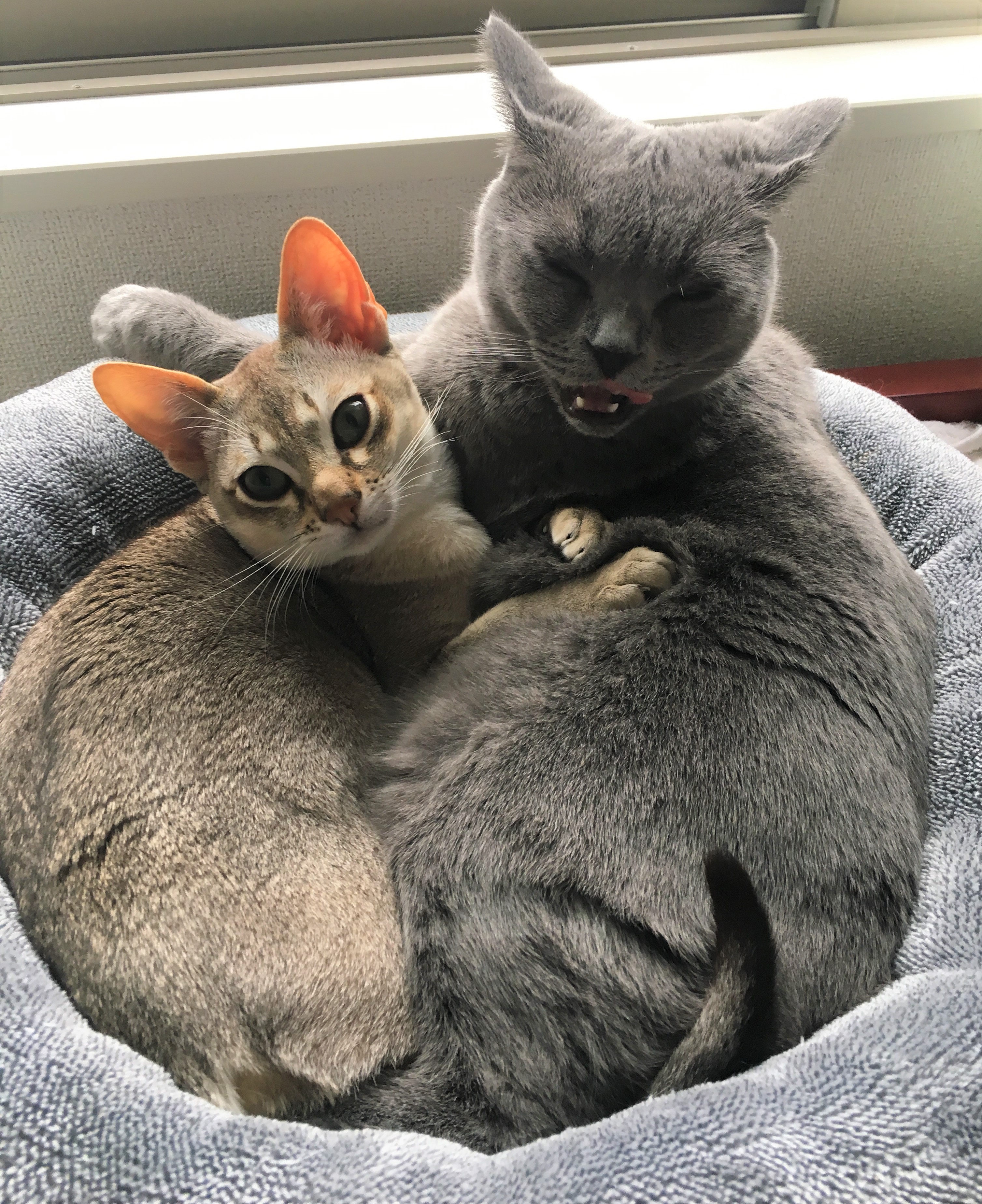 ぷーちゃん&ぽん