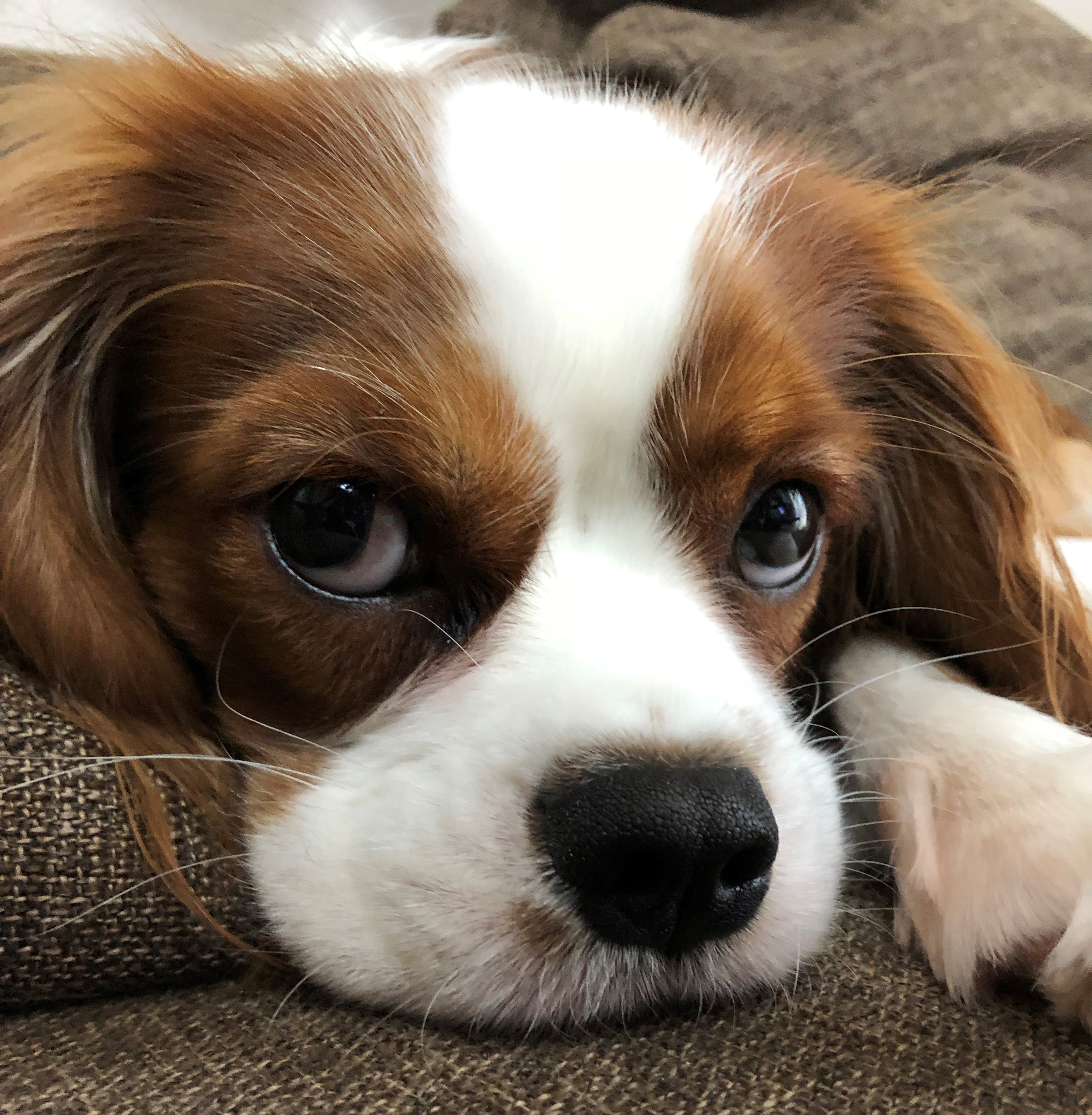 ポロちゃん&ララ