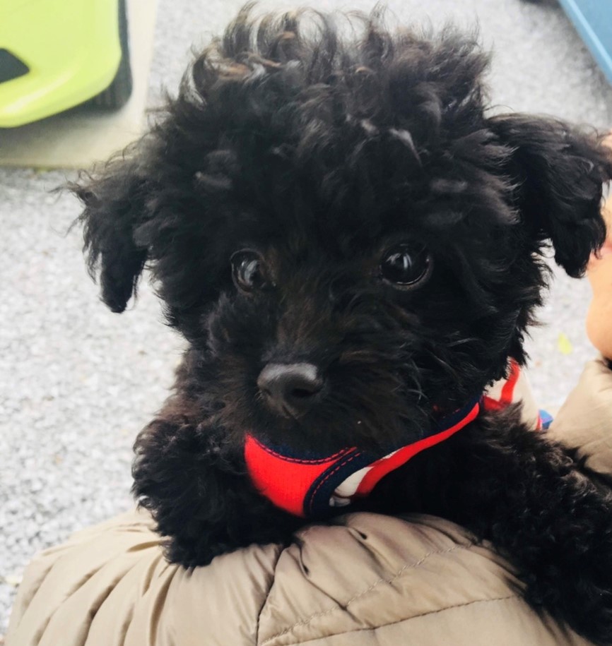 アンジュちゃん&シェリー