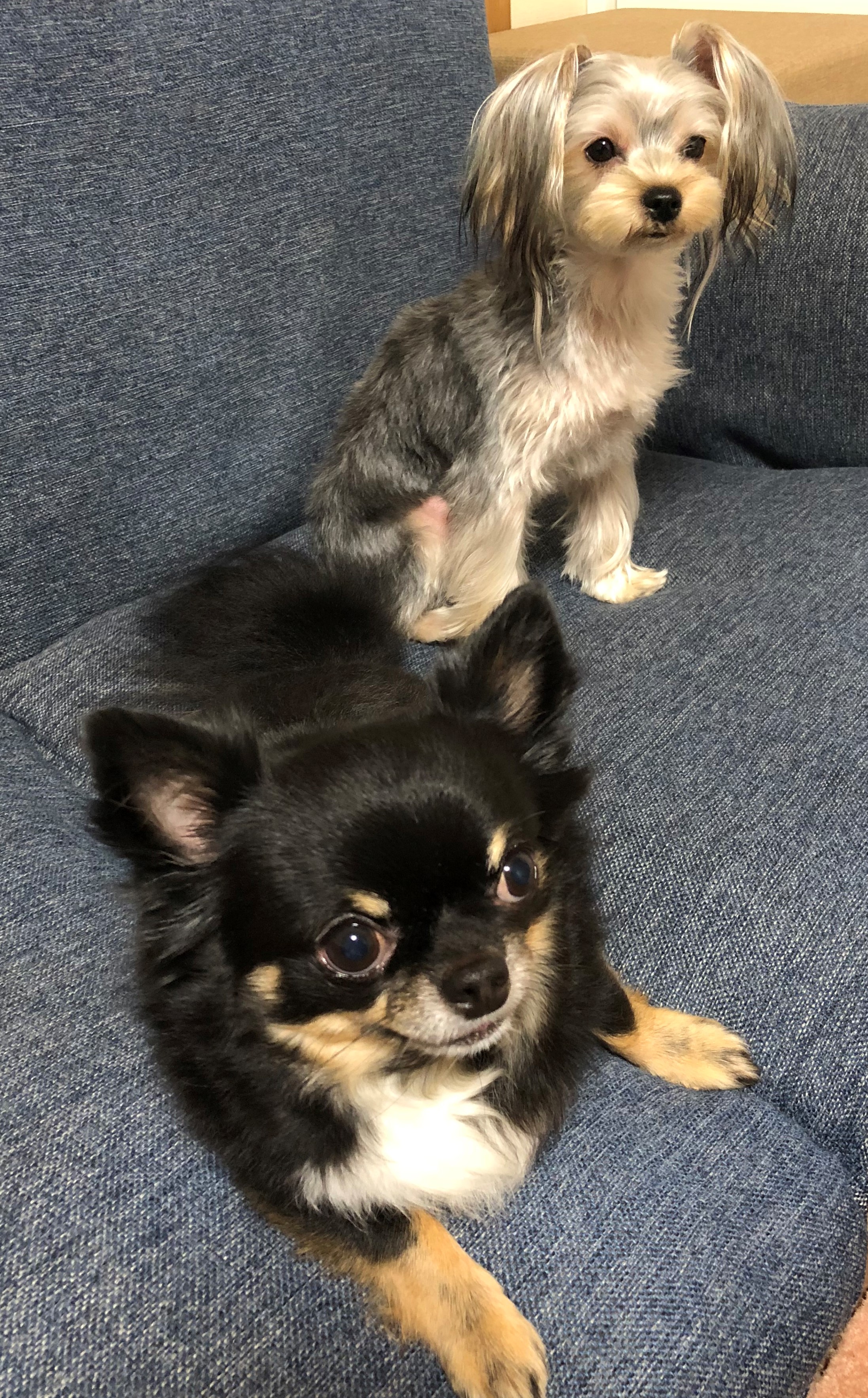 心ちゃん&蓮&虎太郎