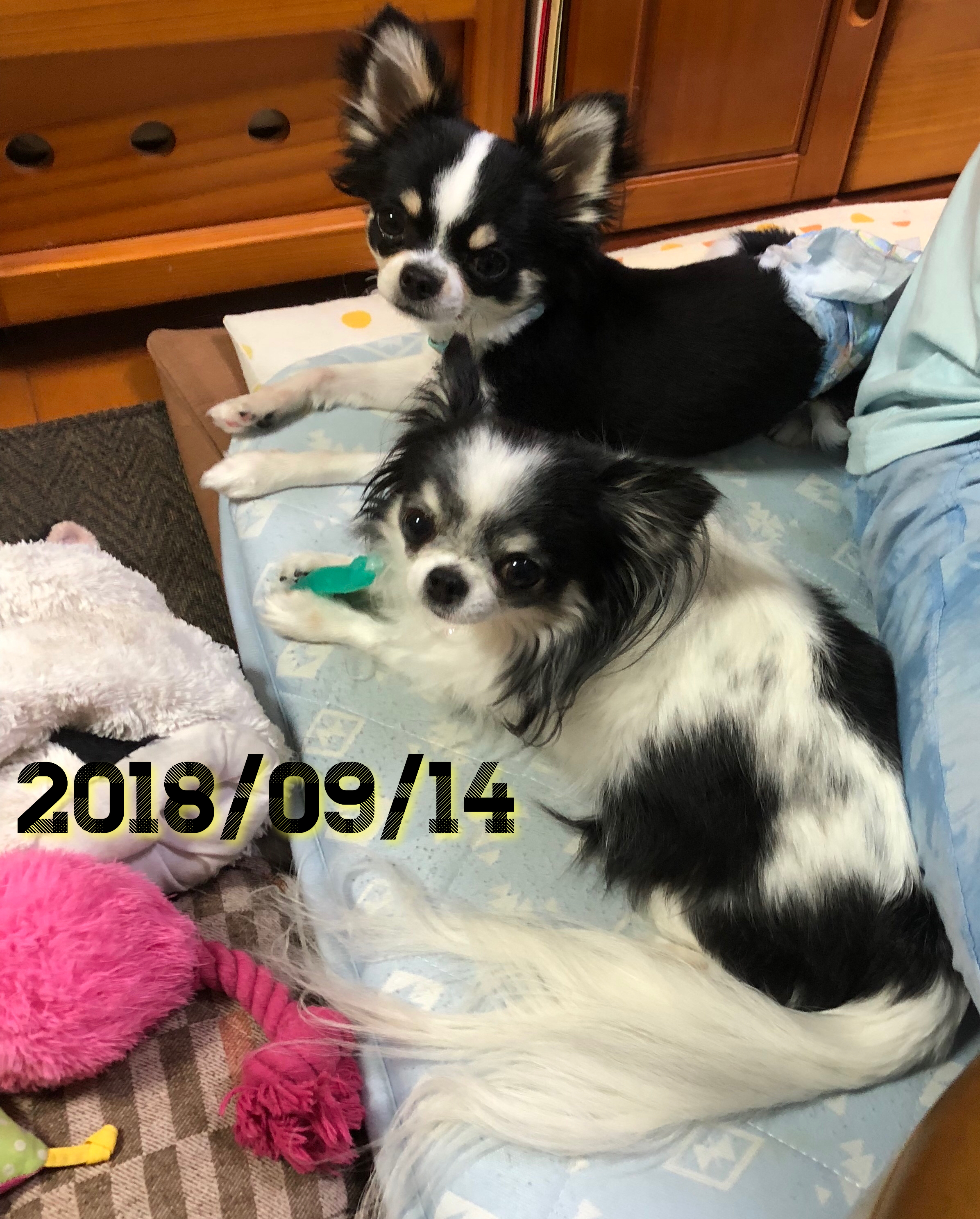 みゅうちゃん&たう