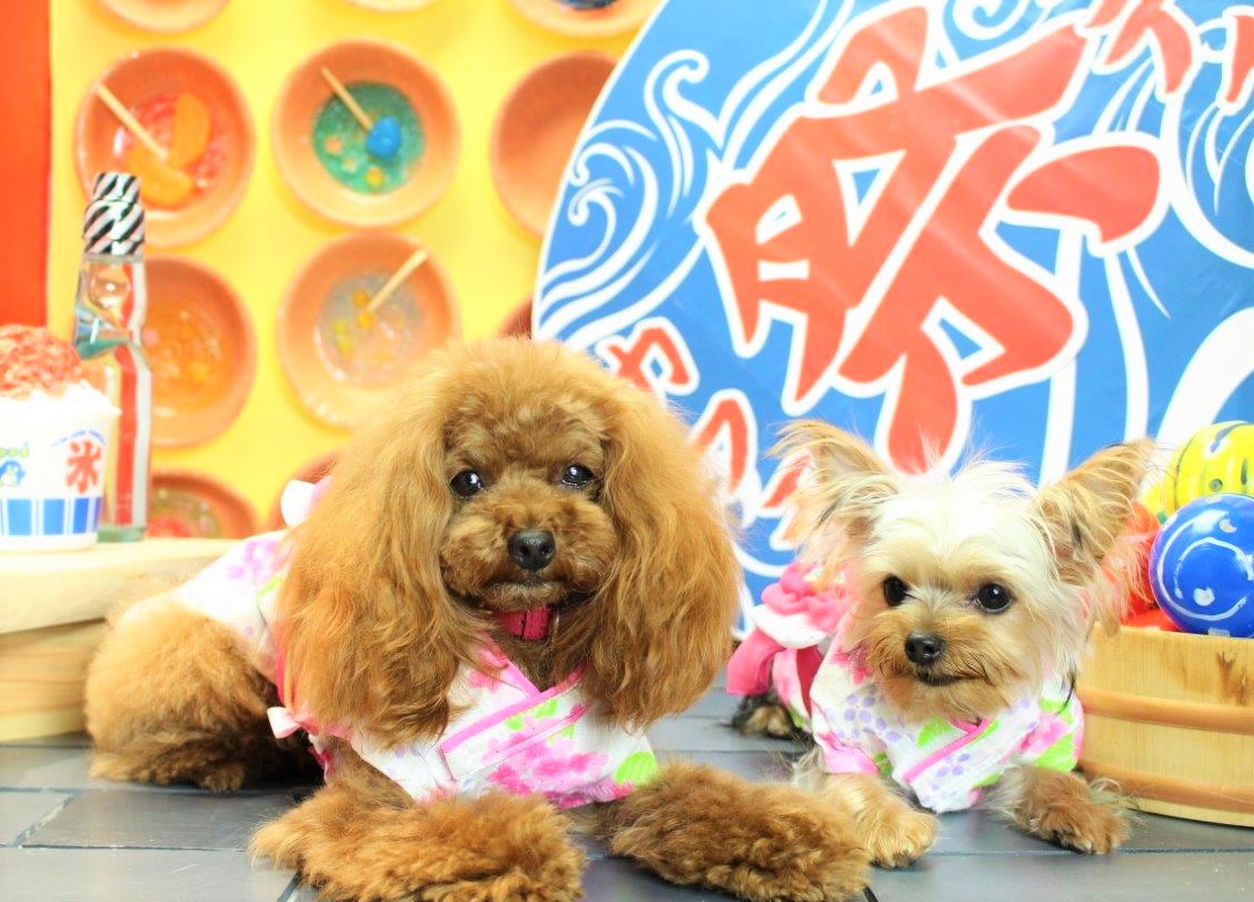 クロエちゃん&アリス