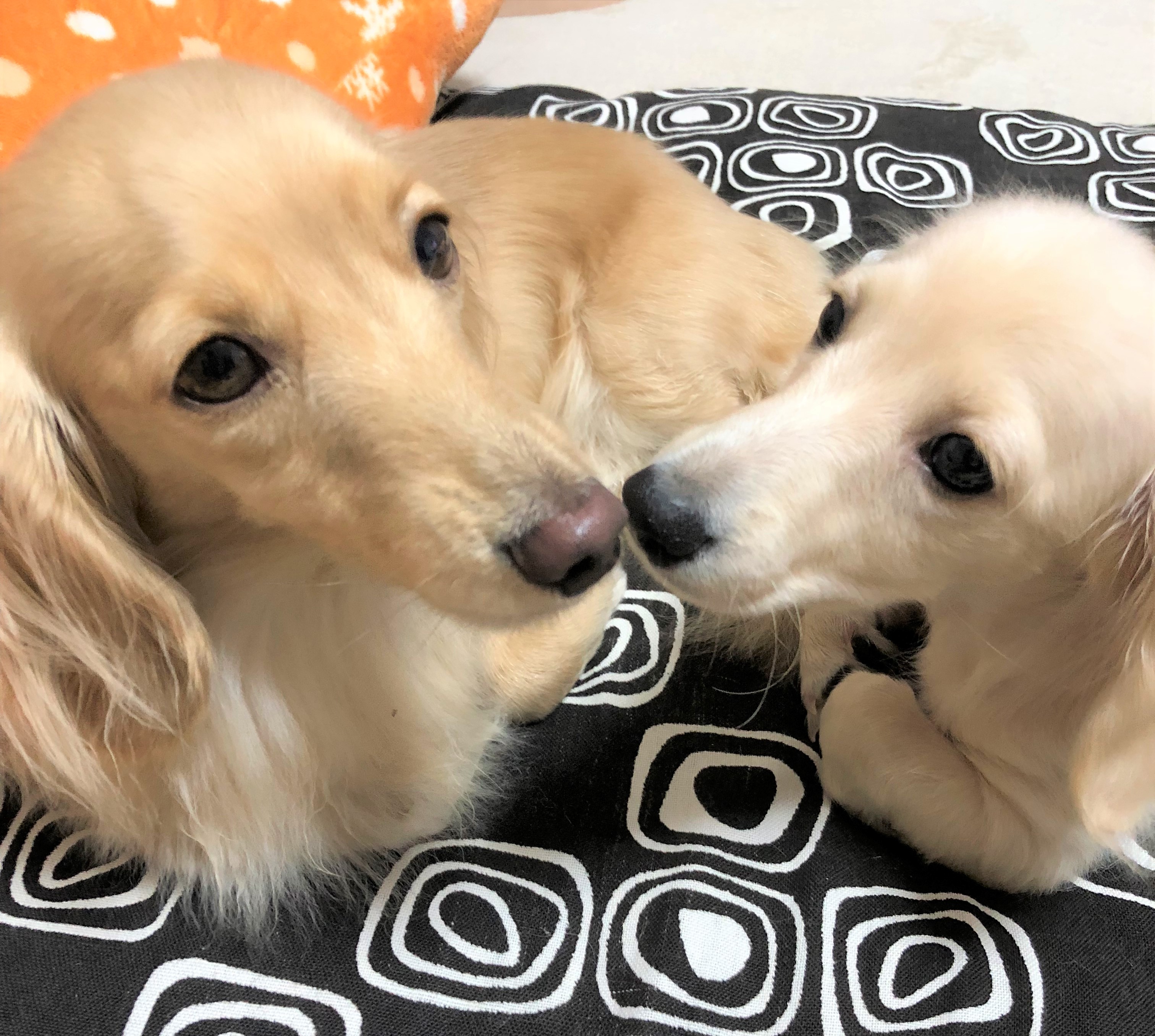 はるちゃん&くぅ