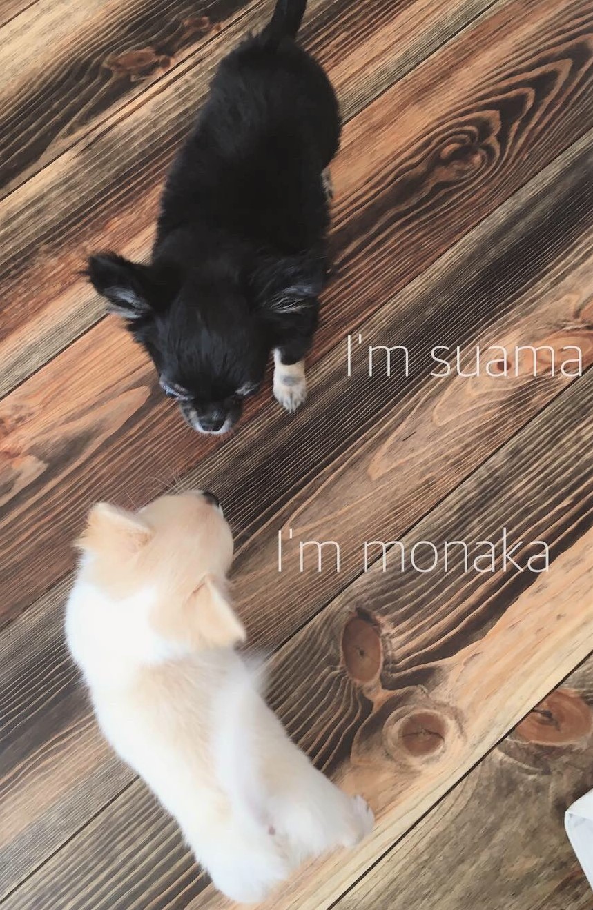 すあまちゃん&もなか