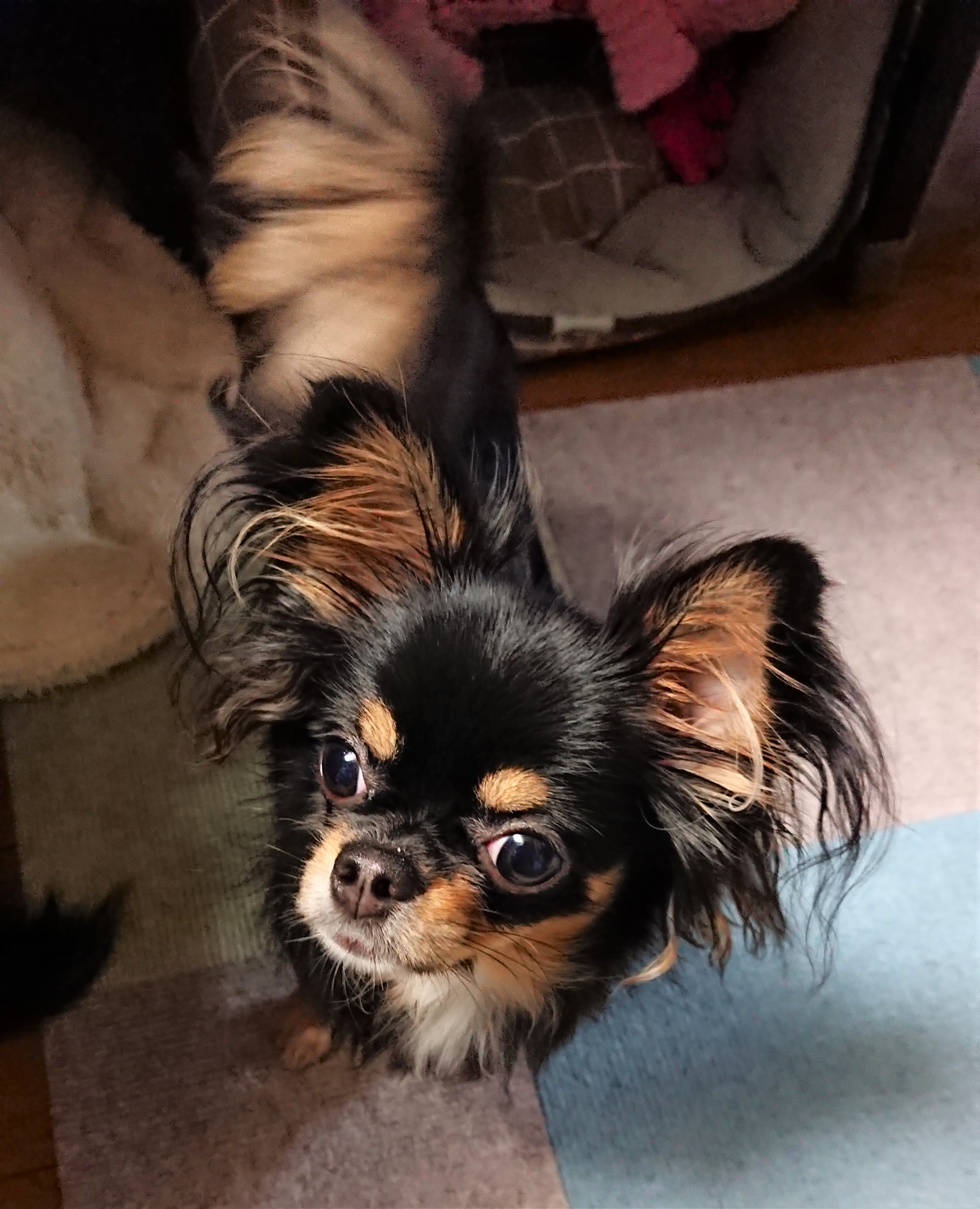 じゅんちゃん&はづき