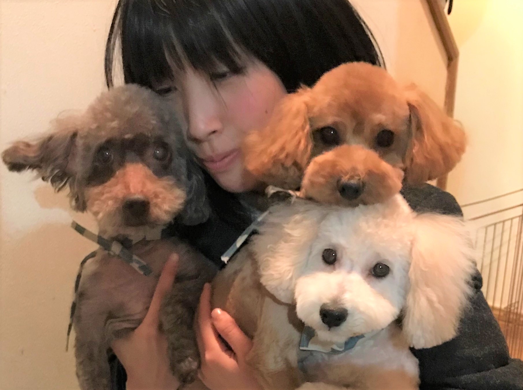 きなこちゃん&あずきちゃん&おもち