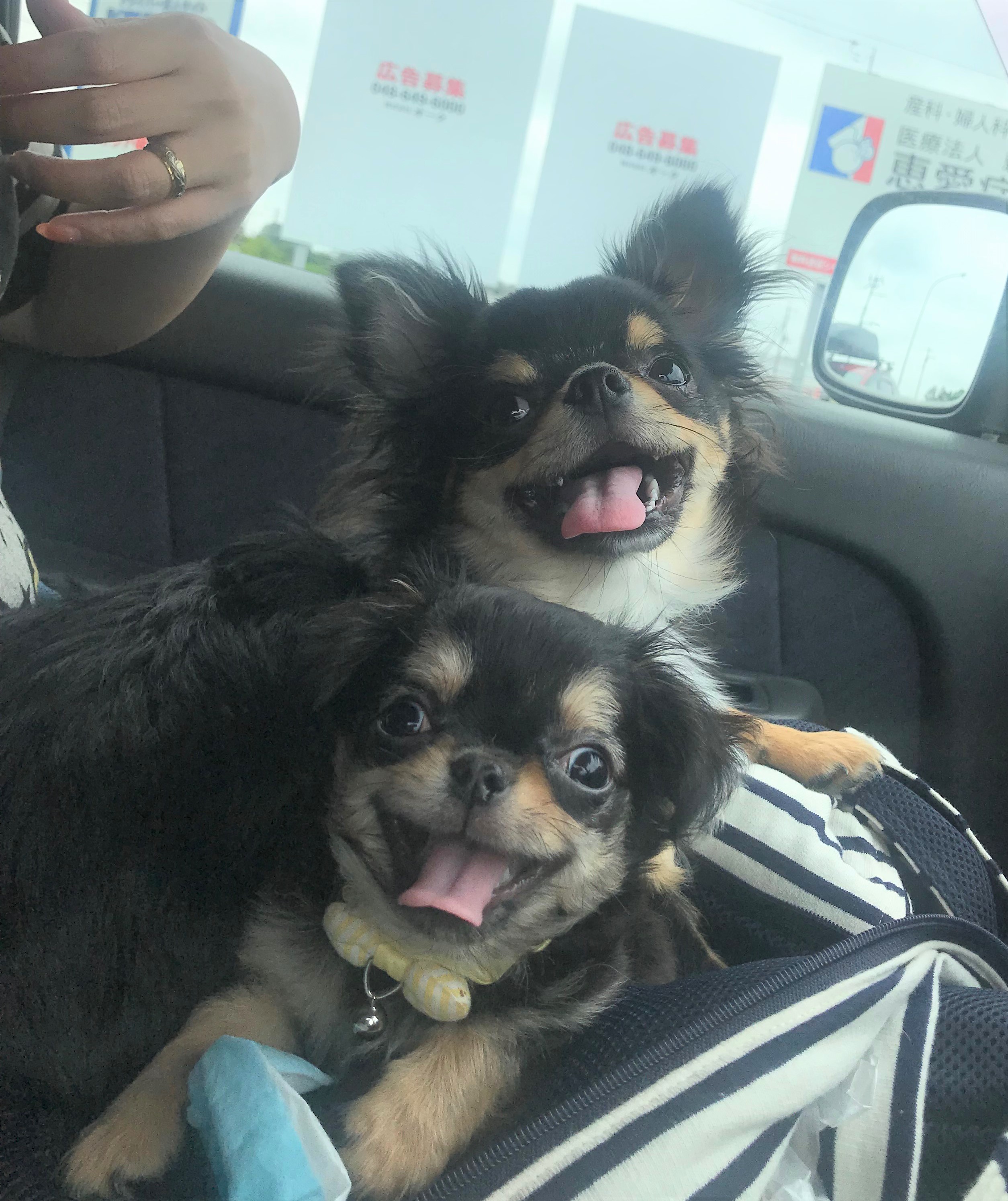 かんたろうちゃん&すず