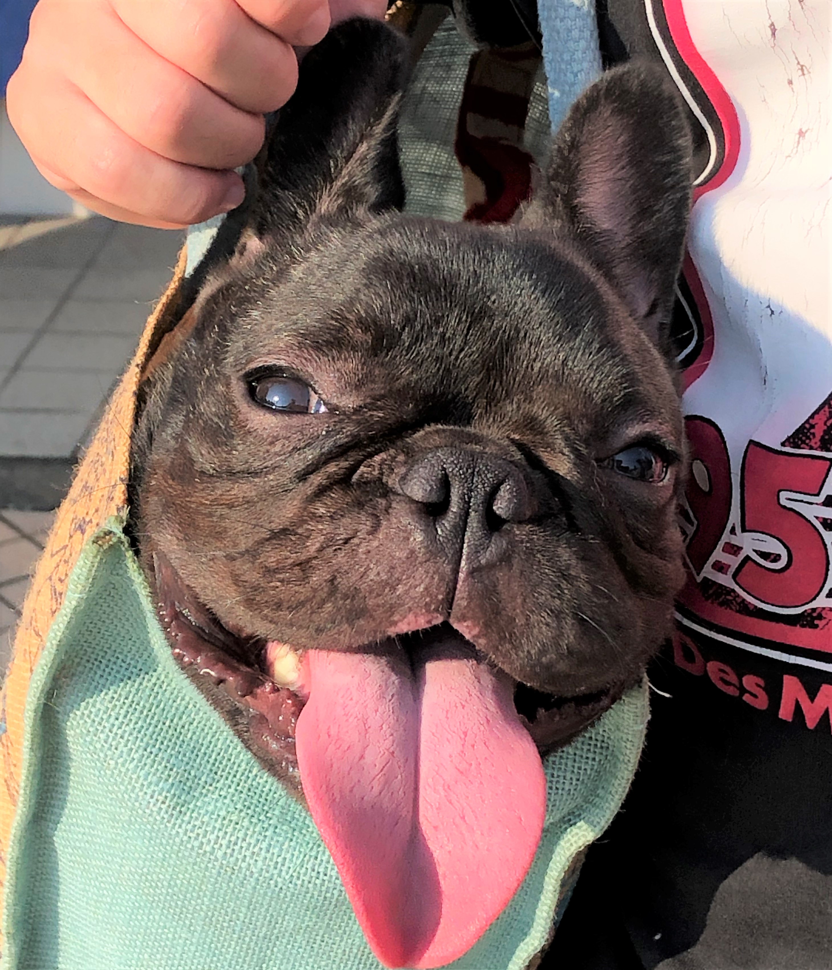 琳子ちゃん&主税