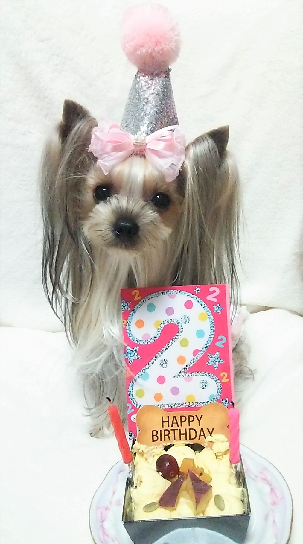 美月（みづき）