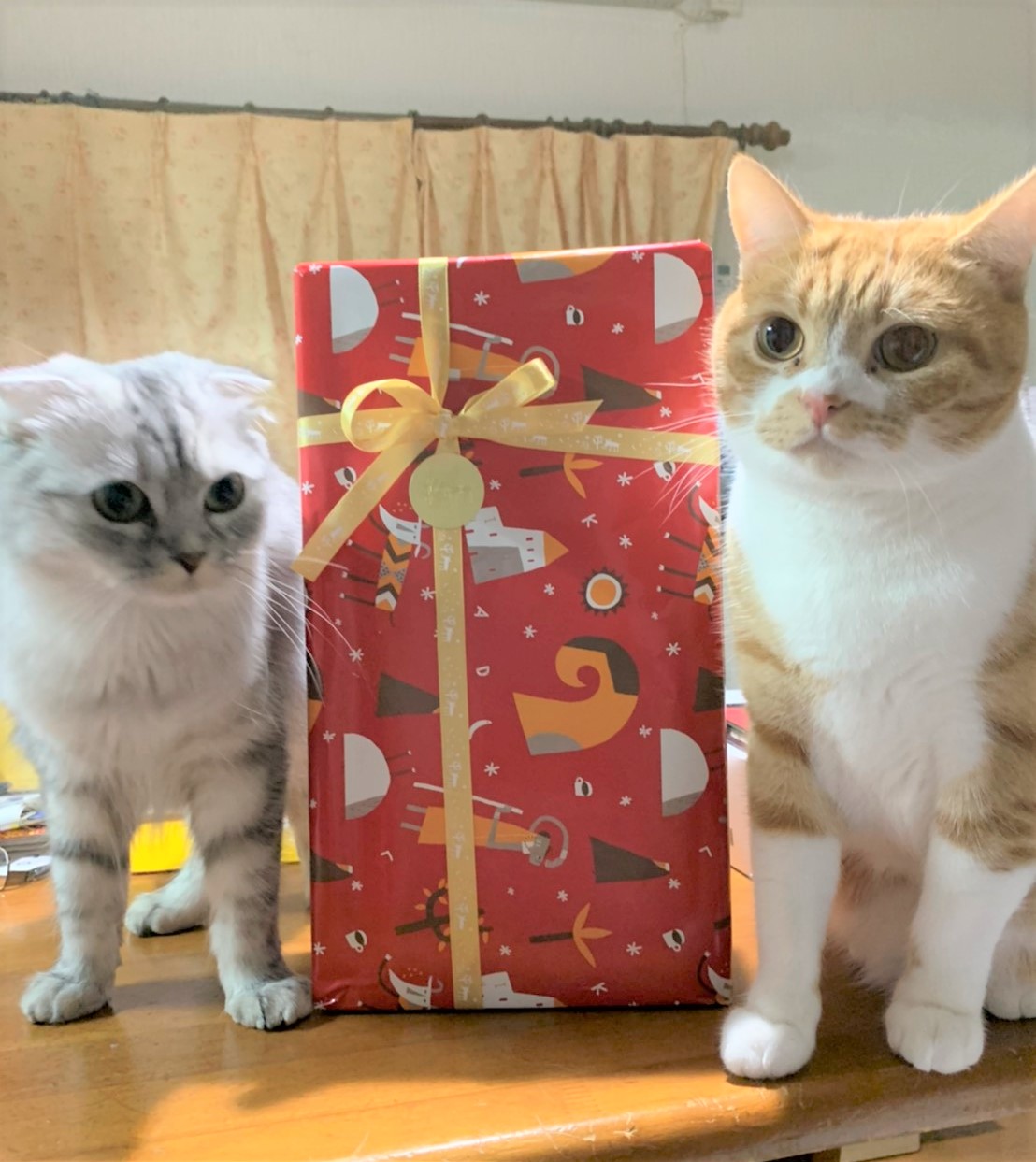 レオちゃん&ルネ