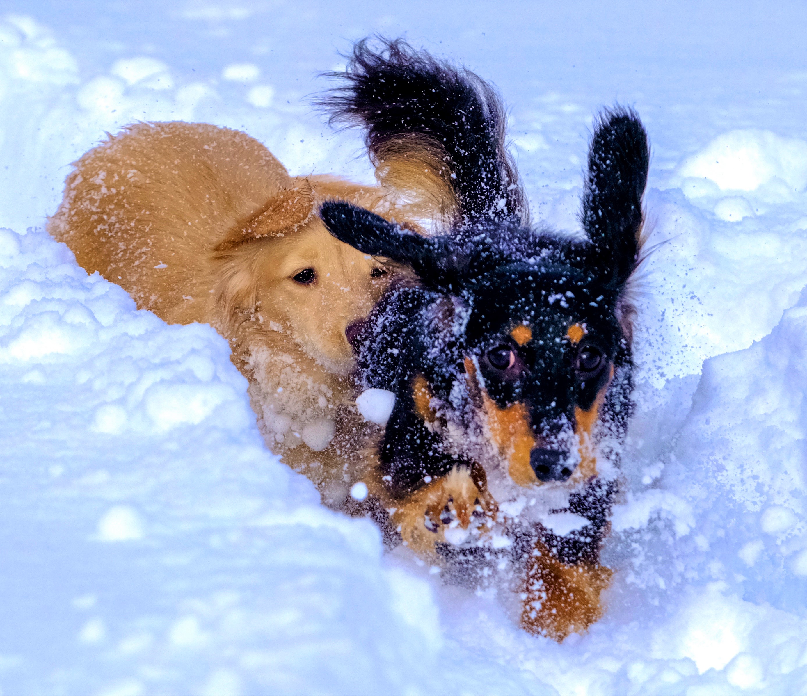 タローちゃん&ハナ