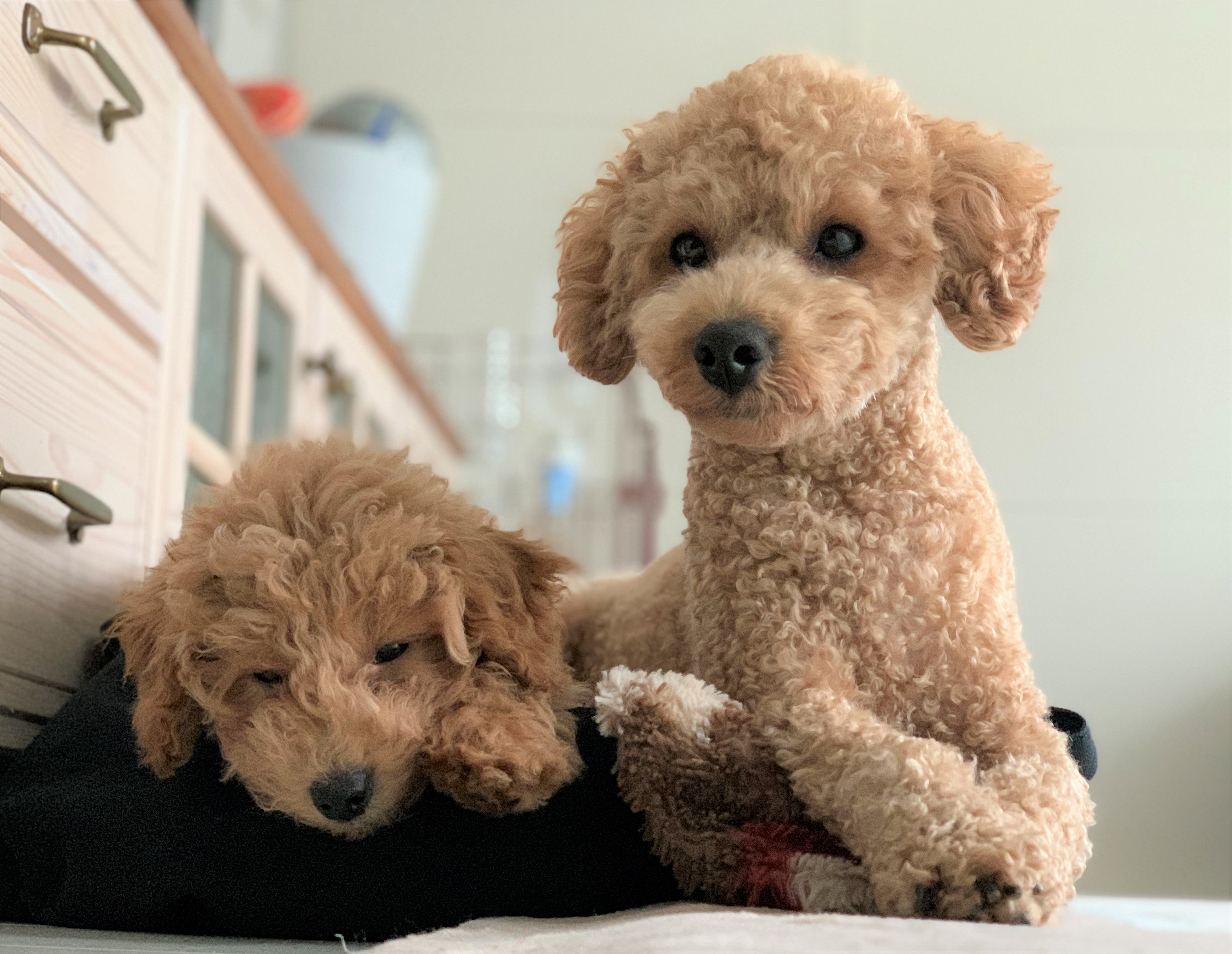 チルちゃん&メル