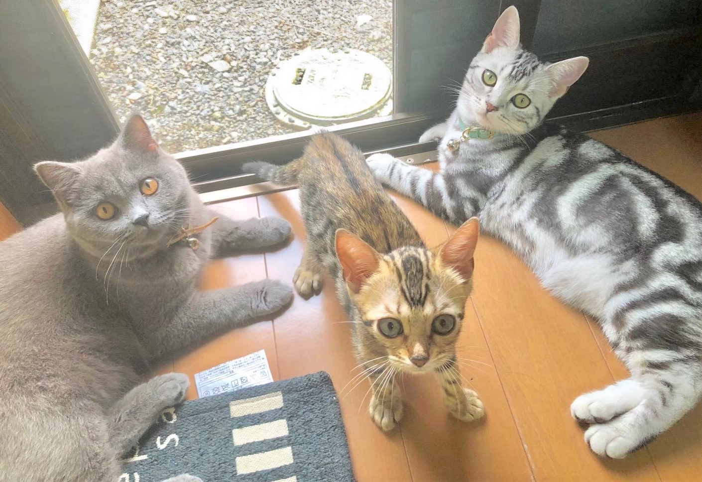 雪ちゃん&雨ちゃん&雲