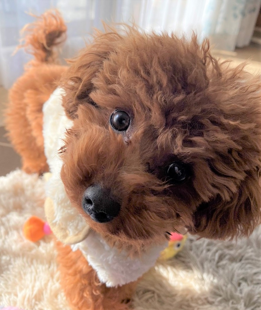 モカちゃん&ラテ