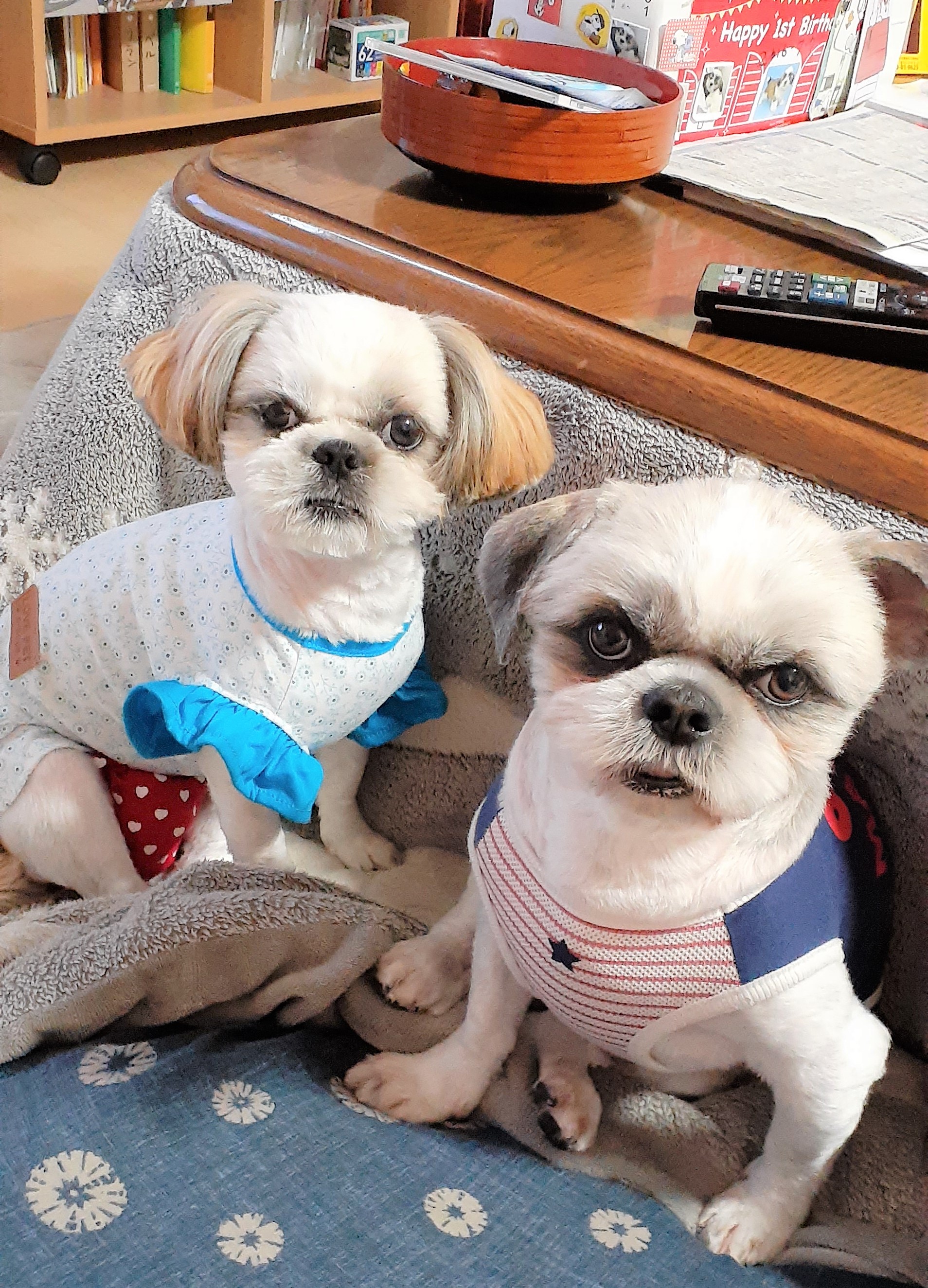 リランちゃん&ベル