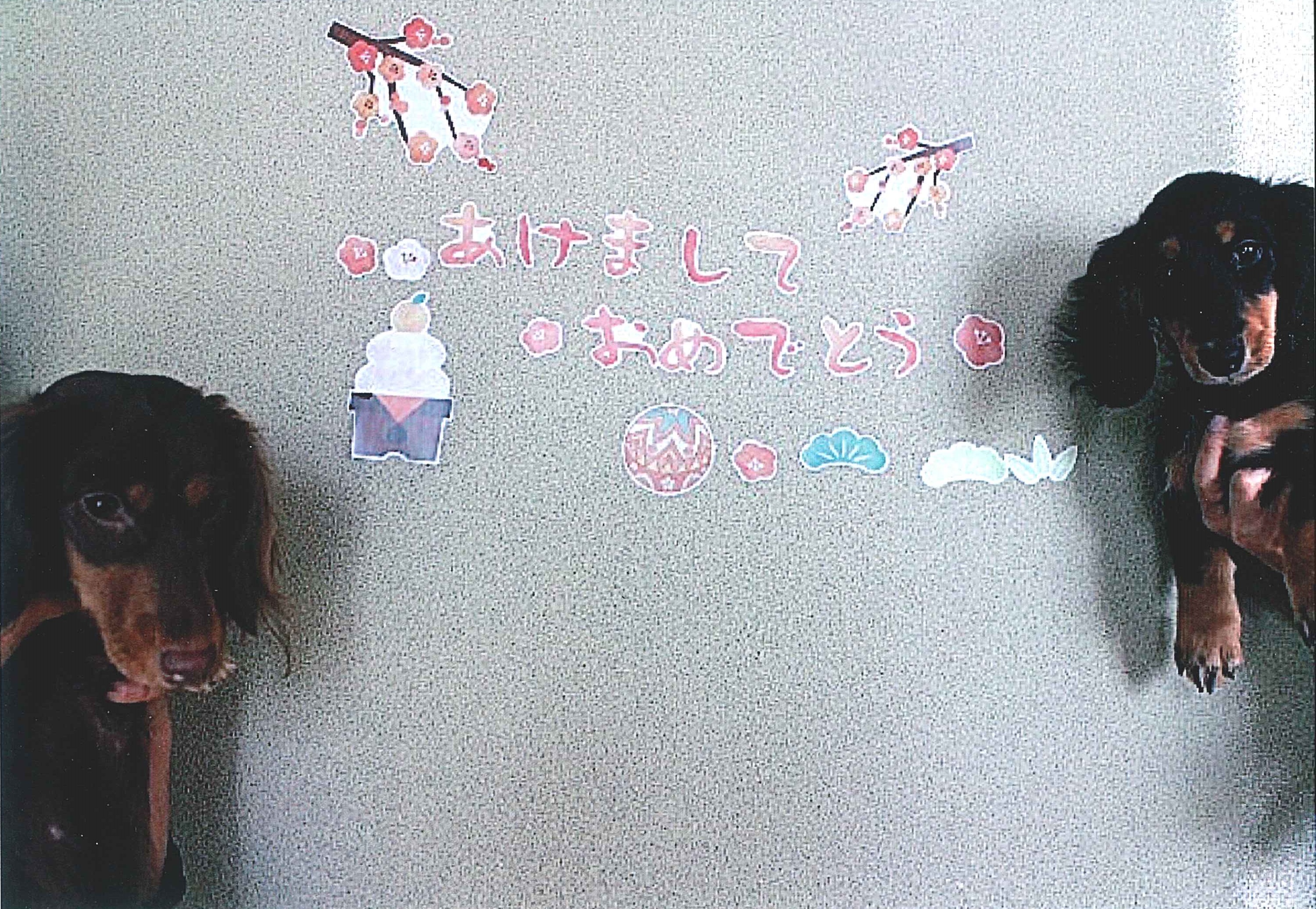 ネネちゃん&チャチャ