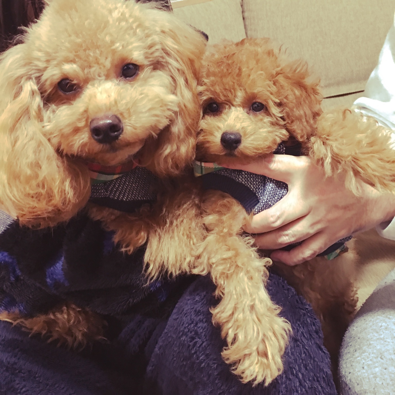 ちまじろう君&りん