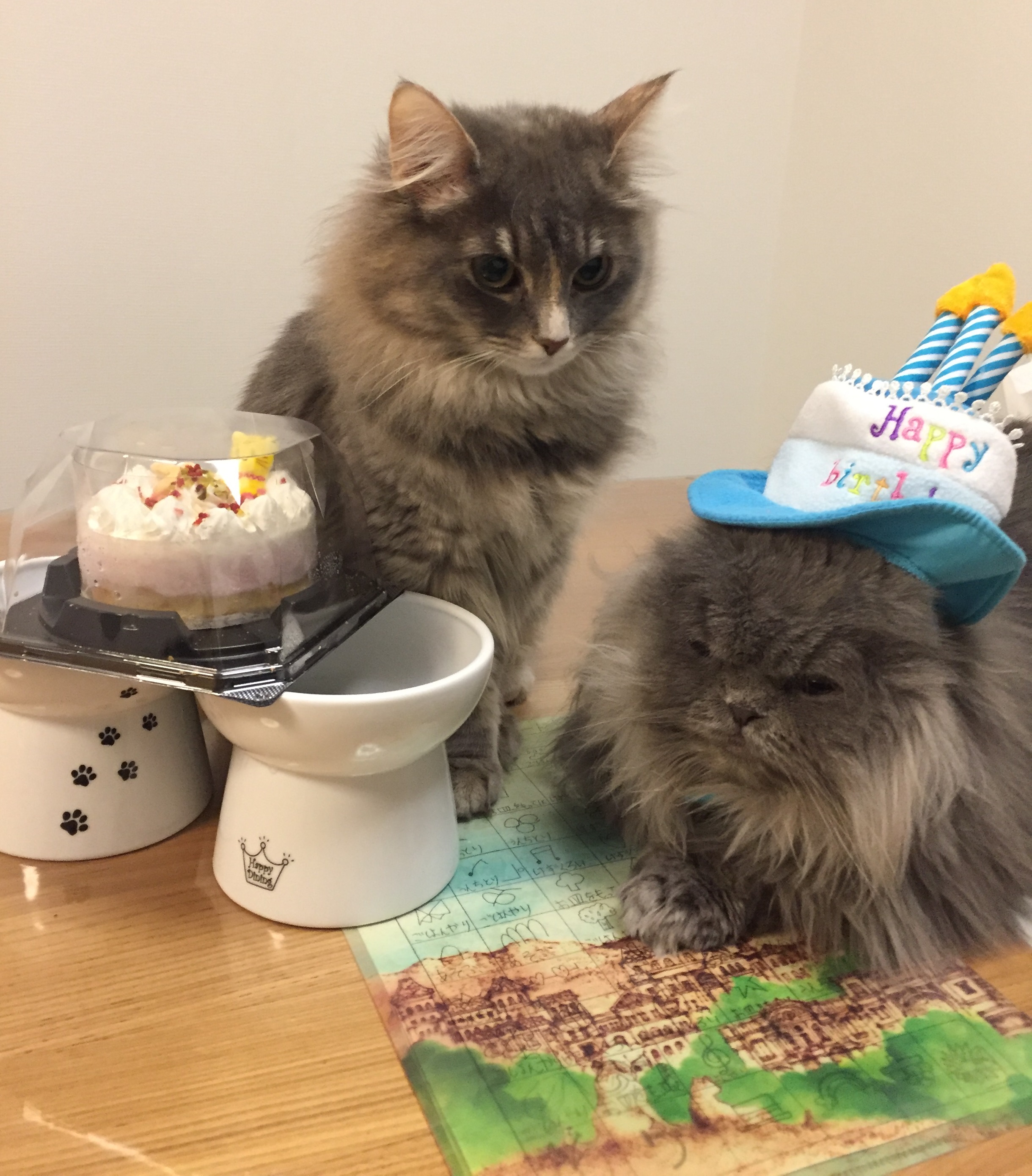 チョコちゃん&メロン